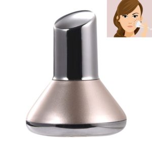 Small Dumbbell Reverse Magnetic Vibration Beauty Instrument Magnetic Mask Essential Oil Introduction Instrument(Rose Gold) (OEM)