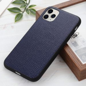 For iPhone 12 Pro Max Litchi Texture Genuine Leather Folding Protective Case(Blue) (OEM)