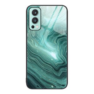 For OnePlus Nord 2 5G Marble Pattern Glass Protective Phone Case(Water Waves) (OEM)