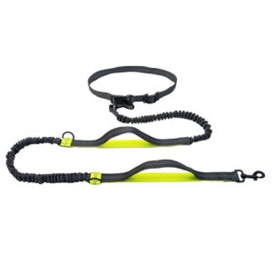 Running Reflective Double Telescopic Dog Rope Dog Chain Traction(Black D Ring Fluorescent Green) (OEM)