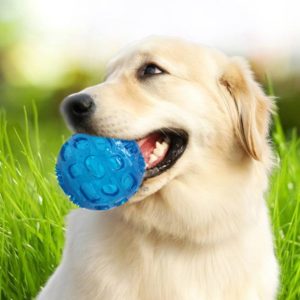 Pet Sounding Toy Elastic Ball Golden Retriever Puppy Molar Bite Resistant Tooth Toy, Size:8*8cm, Random Color Delivery (OEM)