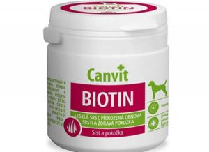 Canvit Biotin 100 Δισκία 100gr