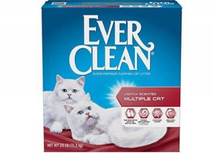 Everclean Multiple Cat 10 Lt