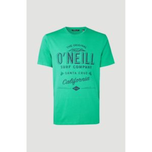 O Neill μπλουζάκι κοντομάνικο Muir T-Shirt 0A2330-6151 Salina Green