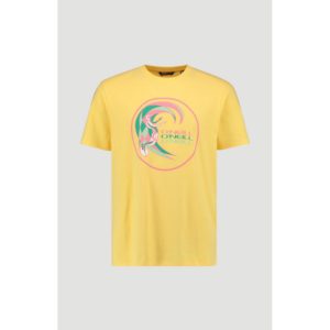O Neill μπλουζάκι κοντομάνικο High Summer O Riginals Print T-Shirt 0A2307-2031 Soft Solaris