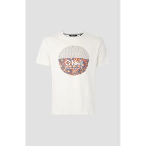 O Neill μπλουζάκι κοντομάνικο Bedwell T-Shirt 0A2359-1030 Powder White