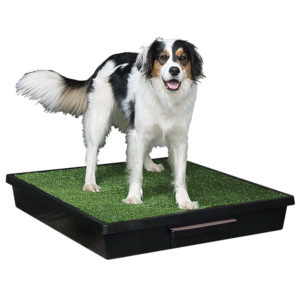 PetSafe Pet Loo - Τουαλέτα για Σκύλους με Γρασίδι 83x83cm