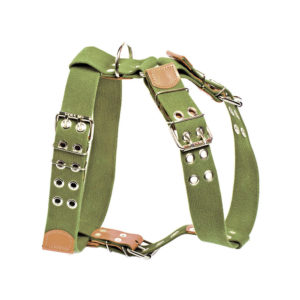 Σαμάρι 45mm Πράσινο Collar για μεγάλους σκύλους Νο.2 65-83cm x 84-96cm x 45mm