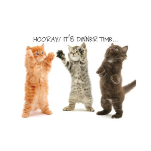 Σουπλά Φαγητού Hooray! It s Dinner Time με Γάτες 42x30 cm