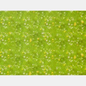 Χαρτόνι 50x70cm Γρασίδι με Λουλούδια (Διπλής Όψης)