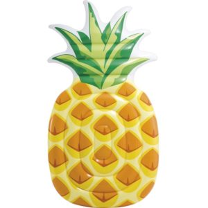 Pineapple Mat 58761.