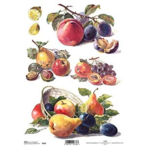 Ριζόχαρτο fruits 21x29εκ. (ITD-R397) (Σετ 3τεμ).