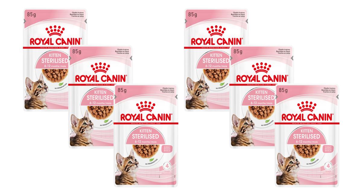 Φακελάκι Royal Canin Kitten Sterilised Gravy για Γατάκια με Κομματάκια σε Σάλτσα Economy Pack 6 Τεμ. x 85gr