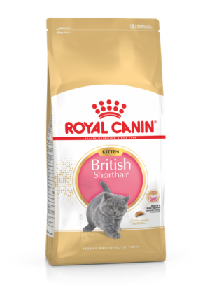 Ξηρά Τροφή Royal Canin Kitten British Shorthair Πλήρης Τροφή για Γατάκια Φυλής British Shorthair (Μέχρι 12 Μηνών) 2kg