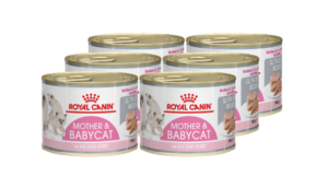 Κονσέρβα Royal Canin Mother & Babycat Ultra Soft Mousse Πλήρης Τροφή για Κυοφορούσες Ή Θηλάζουσες γάτες σε Κρεμώδης Μους Economy Pack 6 Τεμ. x 195gr