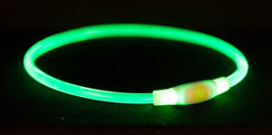 Φωτιζόμενο Περιλαίμιο Ασφαλείας Trixie, Small/Medium, Διαστάσεων: 40cm/ø8mm, Πράσινο