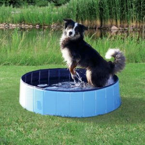 Πισίνα Σκύλου Trixie Dog Pool, Διαστάσεων: ø160x30 cm