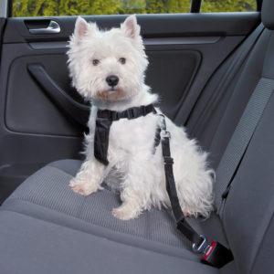 Ζώνη Ασφαλείας Αυτοκινήτου Σκύλου Trixie Car Harness Μαύρο Small, Διαστάσεων 30 έως 60cm (ενδείκνυται για ράτσες όπως West Highland Terrier)