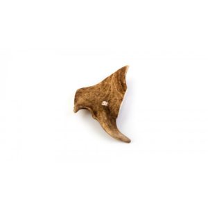 Κέρατο Ελαφιού Cervus Elaphus Fallow Deer - Maxi 140Gr / 160Gr