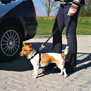 Ζώνη Ασφαλείας Αυτοκινήτου Σκύλου Trixie Car Harness Μαύρο Medium, Διαστάσεων 50 έως 70cm ( ενδείκνυται για ράτσες όπως Border Collie)