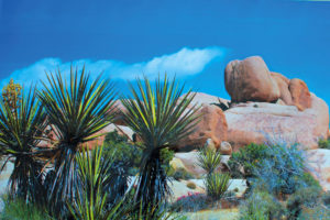 Trixie Διακοσμητικός Τοίχος για Terrarium Δυο Όψεων Desert Διαστάσεων:60x150cm