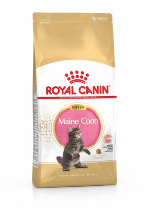 Ξηρά Τροφή Royal Canin Kitten Maine Coon Πλήρης και Ισορροπημένη Τροφή για Γατάκια Φυλής Maine Coon έως 15 Μηνών - 2Kg