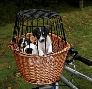 Ψάθινο Καλάθι Μεταφοράς Σκύλου για Ποδήλατο Trixie, μέγιστο βάρος:8kg Διαστάσεων:44x48x33cm, Καφέ