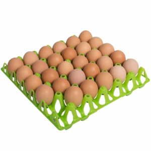 Πλαστική Αυγοθήκη Copele Χωρητικότητας 30 Αυγών