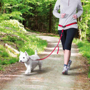 Ζώνη Μέσης Trixie με Λουρί για Jogging Small & Medium