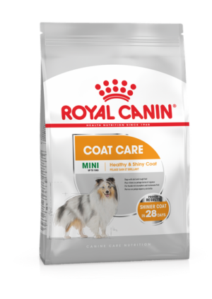 Ξηρά Τροφή Royal Canin Mini Coat Care για Σκύλους Πάνω με Θολό και Τραχύ Τρίχωμα 3Kg