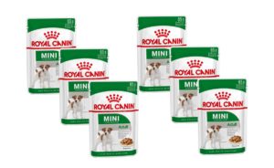 Economy Pack 6 Τεμαχίων x 85gr Royal Canin Shn Mini Adult Wet για Ενήλικες Σκύλους Μικρόσωμων Φυλών