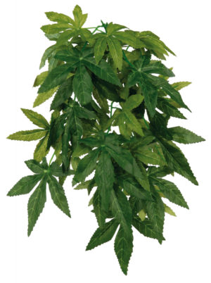 Trixie Κρεμαστό Μεταξωτό Φυτό Abutilon Διαστάσεων:20x50cm