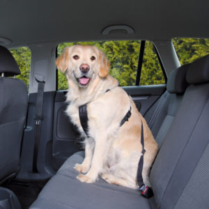 Ζώνη Ασφαλείας Αυτοκινήτου Σκύλου Trixie Car Harness Μαύρο Large, Διαστάσεων 70 έως 90cm (ενδείκνυται για ράτσες όπως Labrador)