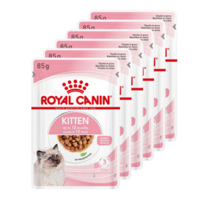 Φακελάκι Royal Canin Kitten Instinctive In Gravy Για γατάκια σε ψιλοκομμένες φέτες σε σάλτσα, Economy Pack 6 Τεμ. x 85gr