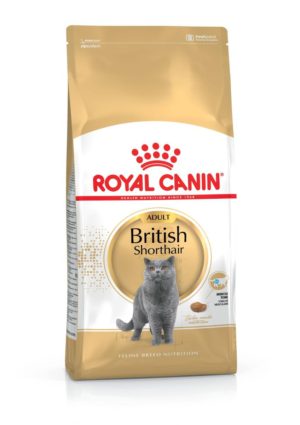 Ξηρά Τροφή Royal Canin British Shorthair Adult Πλήρης και Ισορροπημένη Τροφή για Ενήλικες Γάτες Φυλής British Shorthair 2kg