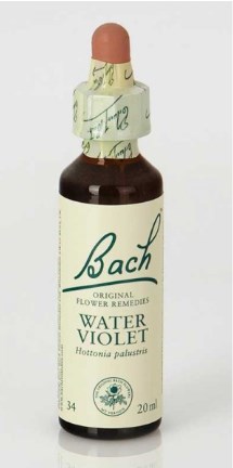 Power health Bach Water Violet - 20ml