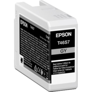 EPSON Singlepack UltraChrome Pro 10 Gray - C13T46S700