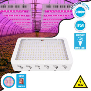 GloboStar® 85952 Grow Light Full Spectrum LED Φωτιστικό Ανάπτυξης Φυτών Θερμοκηπίου SMD 2835 2000W 160° AC230V IP54 Εσωτερικού Χώρου για Κάλυψη Επιφάνειας 3m x 3m Πλήρους Φάσματος Φωτισμού