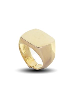 Δαχτυλίδι Paraxenies από επιχρυσωμένο ασήμι 925 λουστράτο τετράγωνο